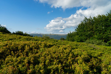 Bieszczady 006