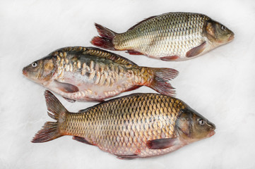 Carp preparation for butchering and cooking the fresh background. Three fish to the scales.