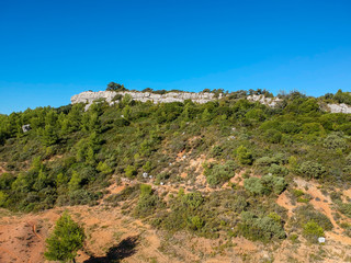 Paysage de garrigue dans le sud de la France