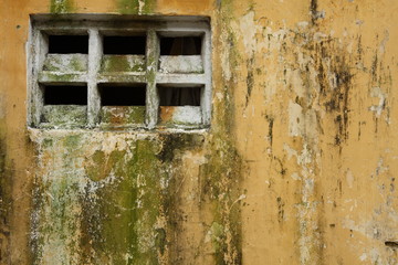 Texture of colorful moldy wall