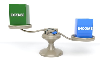 Expense and income concept, 3d