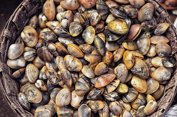 Fresh Mussels  seafood