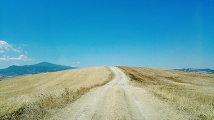 a dirt road in the middle of a wheat field