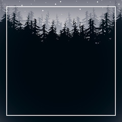 Night forest with star on the sky