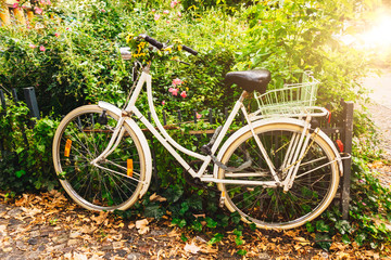 vintage bicycle is lying on a green bush