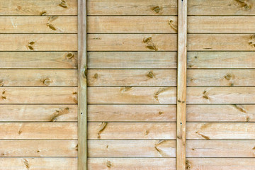 The natural wood texture. Background.
