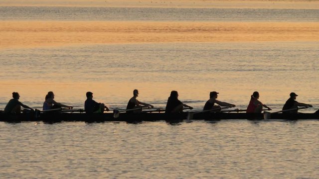 Rowing Team on Lake Silhouette