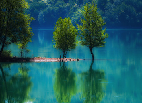 Lonely Trees - Lago del Brugneo, Parco dell'Antola, Liguria, Italy, Europe
