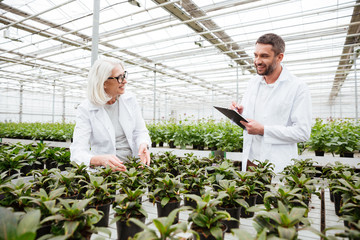 Mature gardeners working in greenery