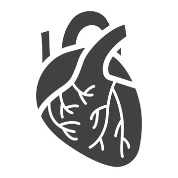 Human heart glyph icon, medicine and healthcare, human organ sign vector graphics, a solid pattern on a white background, eps 10.