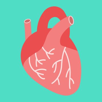 Human heart flat icon, medicine and healthcare, human organ sign vector graphics, a colorful solid pattern on a cyan background, eps 10.