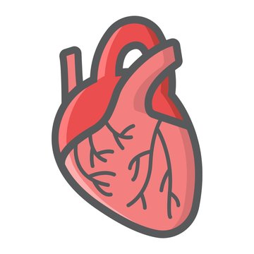 Human heart filled outline icon, medicine and healthcare, human organ sign vector graphics, a colorful line pattern on a white background, eps 10.