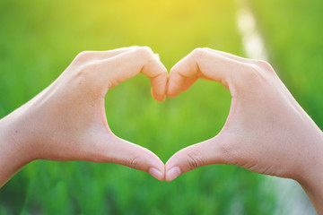 Hands like heart shape and green nature background