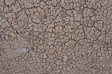 Cracked ground dry earth dry land texture background,Dehydration plants do not grow.