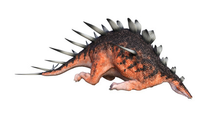 3D Rendering Dinosaur Kentrosaurus on White