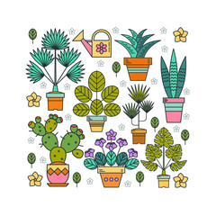 Flowers in pots. Potted plants. Arrangement of potted flowers in the shape of a square. Isolated on white background.