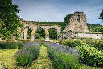Fototapeta premium Ruin of a 900 year old monastery in Alvastra Sweden