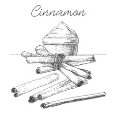 Cinnamon sticks, cinnamon powder. Hand drawn spice isolated on white background. Vector illustration of a sketch style.