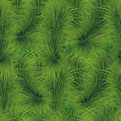 Christmas tree branches seamless pattern. Evergreen fir twigs background for Christmas and New Year design.