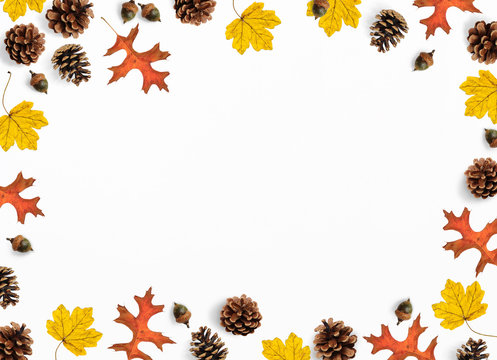 Autumn mockup scene. Creative fall composition made of colorful maple, oak leaves, pine cones and acorns, flat lay. Isolated natural objects on the white background.Space for your text, top view.