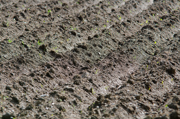 plowed soil