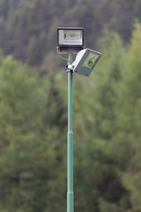 Security light in a forest