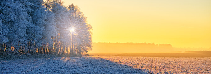 Winter in East Frisia