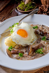 Forest mushroom sauce with fresh mushrooms, potato and poached egg