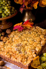 Autumnal Charlotte whit chocolate ground.