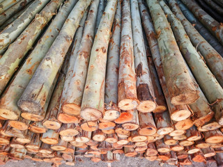 log pieces of wood