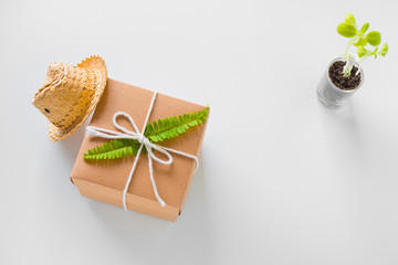 Brown gift box and little tree on white background.