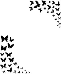 Black butterfly background, corners frame, template for your design, vector illustration