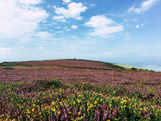 Valley of the Rocks, Exmoor, UK