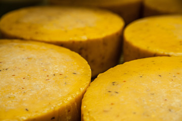 Cheese factory production shelves with aging cheese