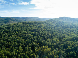 Obraz premium aerial shot of forest landscape