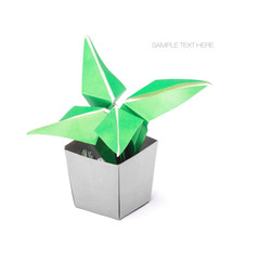 Origami succulent indoors flower