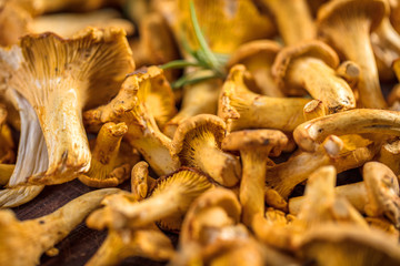 Frische Pfifferlinge auf rustikalem Holz hintergrund