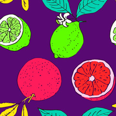 Grapefruit and lime, seamless pattern design, hand drawn doodle, sketch in pop art style, color illustration, purple background