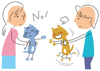 猫のお見合い