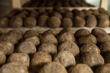 Cheese factory production shelves with aging cheese