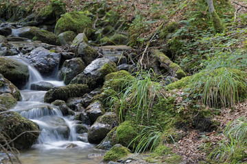 Ruisseau de La Gafe
