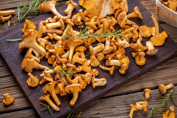 Frische Pfifferlinge auf rustikalem Holz hintergrund