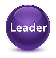 Leader glassy purple round button