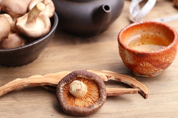 Ganoderma lucidum hot tea
