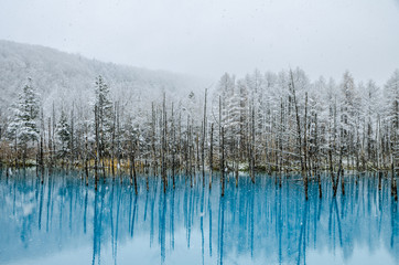 Blue Pond is a man-made water feature in Biei, Hokkaido, Japan. It is one of the world most...