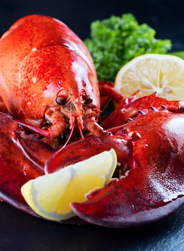 Red lobster with lemon and green on black background