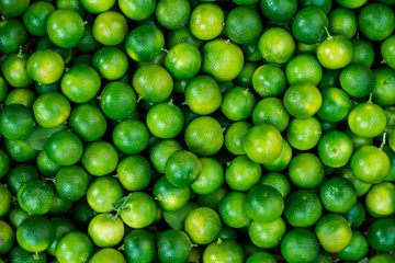 Green lime background