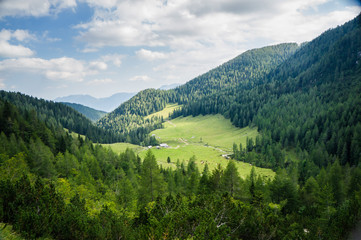 Naklejka premium High mountain pasture in Julian alps.