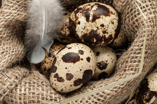 quail eggs in burlap sack