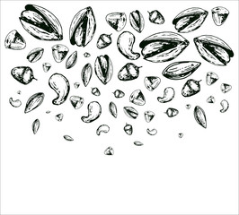 hand drawn vintage vector card with nuts and place for your text